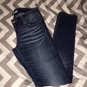 Daytrip lynx skinny jeans